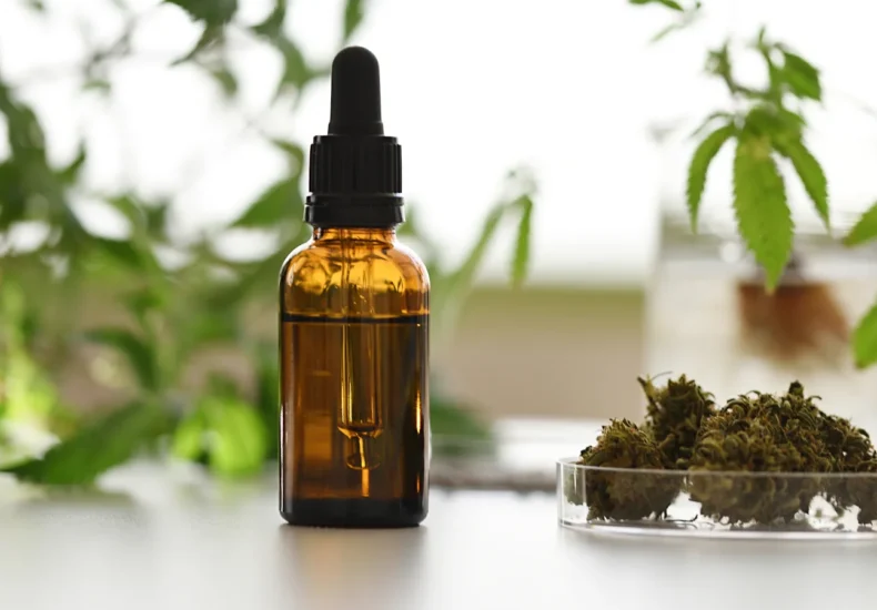 CBD Gummies Benefits: What You Need to Know | Phytosana 3 CBD products on display