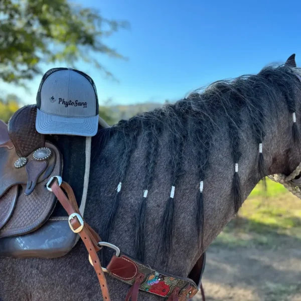 Gray Phytosana Trucker Hat