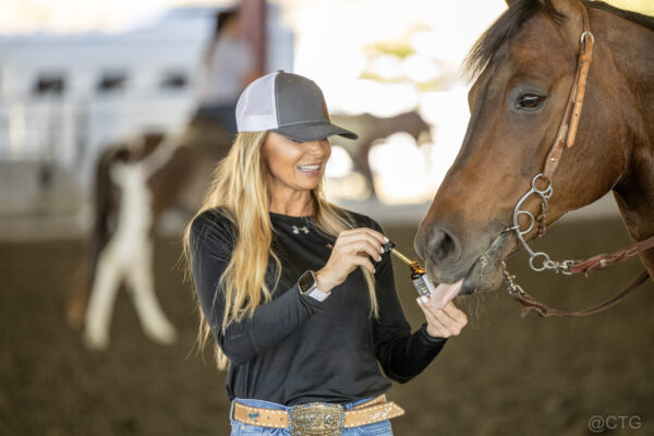 Horse taking CBD product