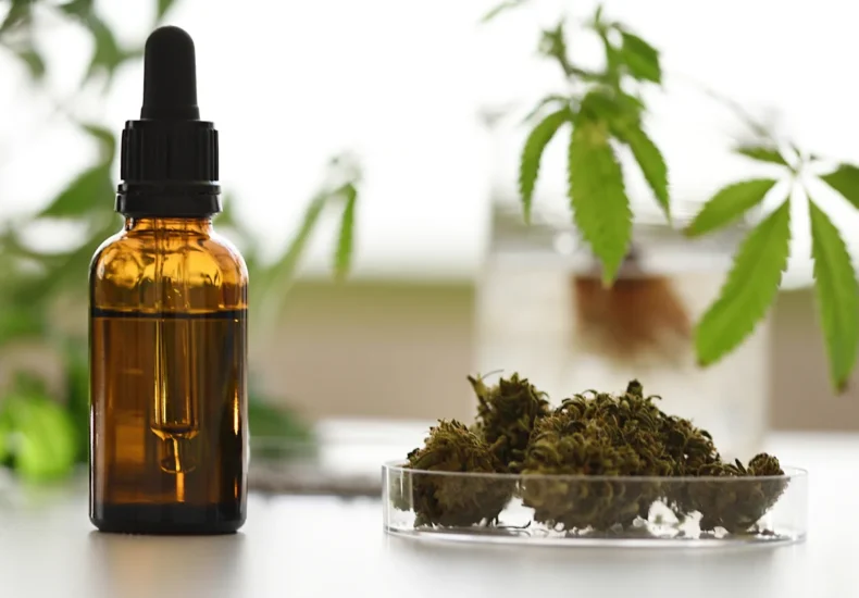 Hemp extract and CBD oil and other CBD products