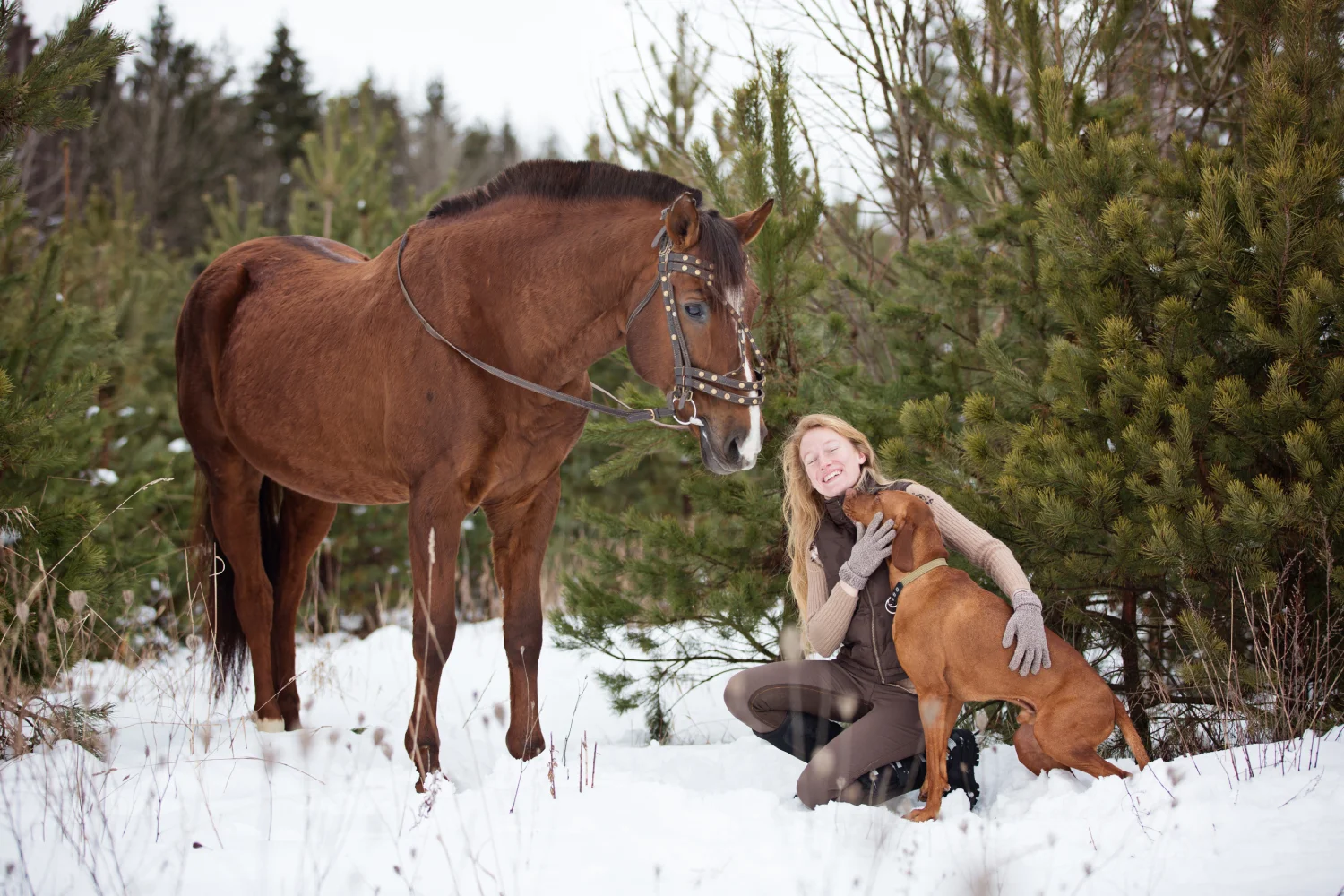 Happy woman with her dog and horse