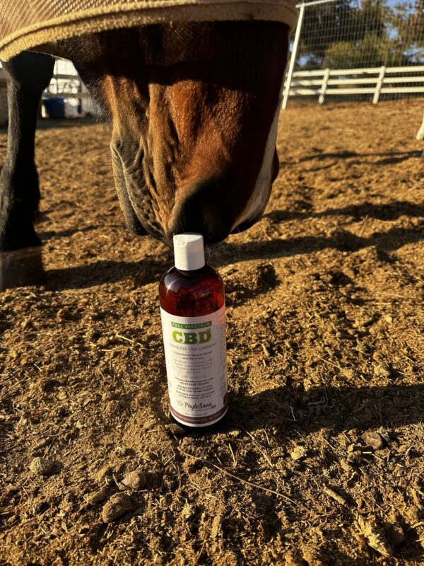 EquiEase CBD Liniment